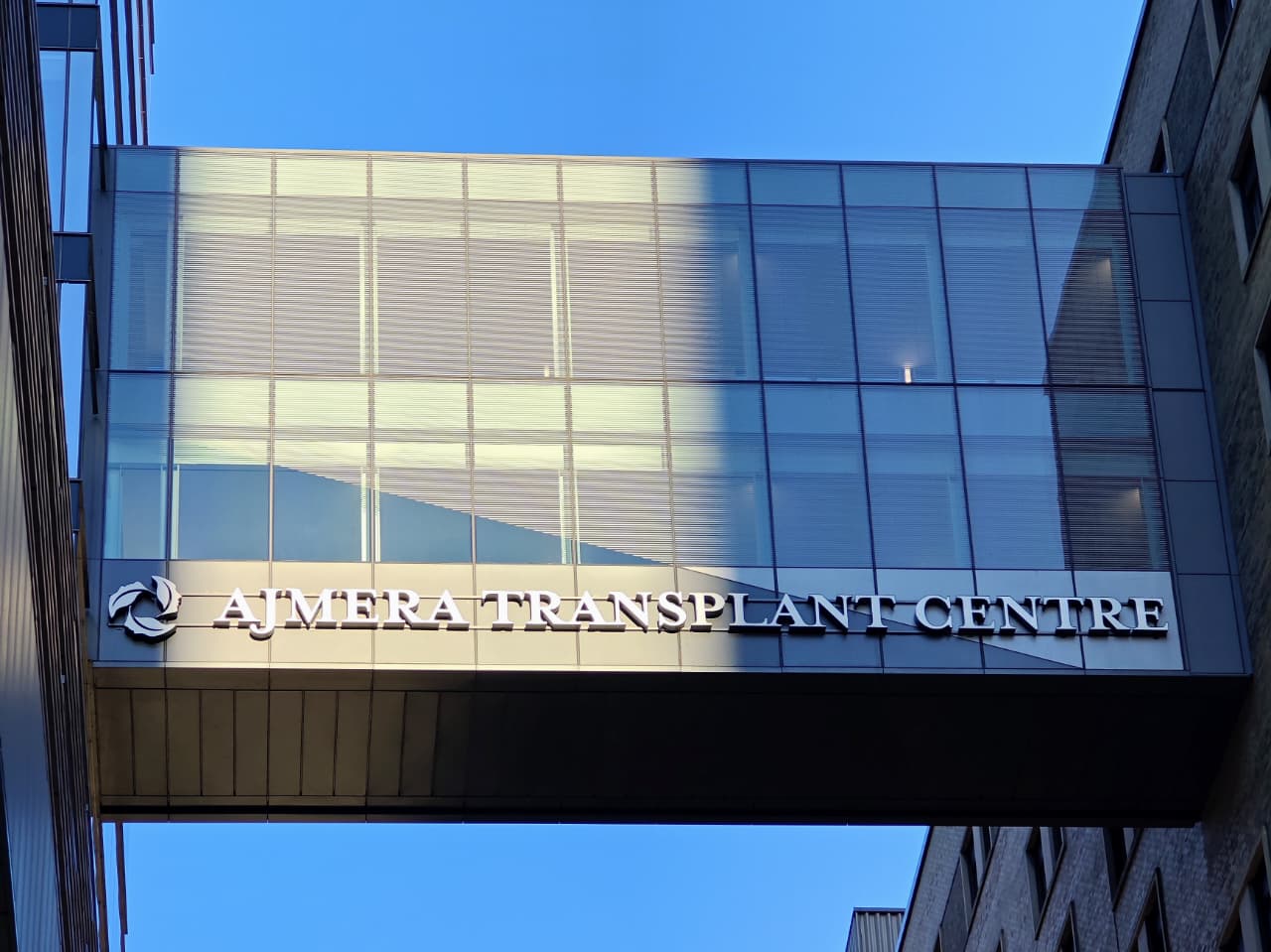 Ajmera Transplant Centre Team